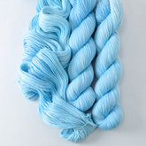 Chirp - Miss Babs Putnam Merino wool and nylon sock yarn