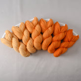 Citrus - Miss Babs Gradient Set
