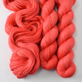 Coral - Miss Babs Katahdin 437 superwash BFL wool yarn