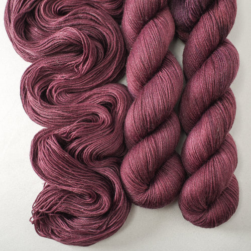 Cordovan - Miss Babs Tarte yarn