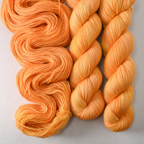 Coreopsis - Miss Babs Yummy 2-Ply yarn