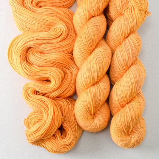 Coreopsis - Miss Babs Putnam yarn