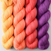 Coreopsis, Spicy Papaya, Coral, and Boysenberry - Miss Babs Tarte Quartet