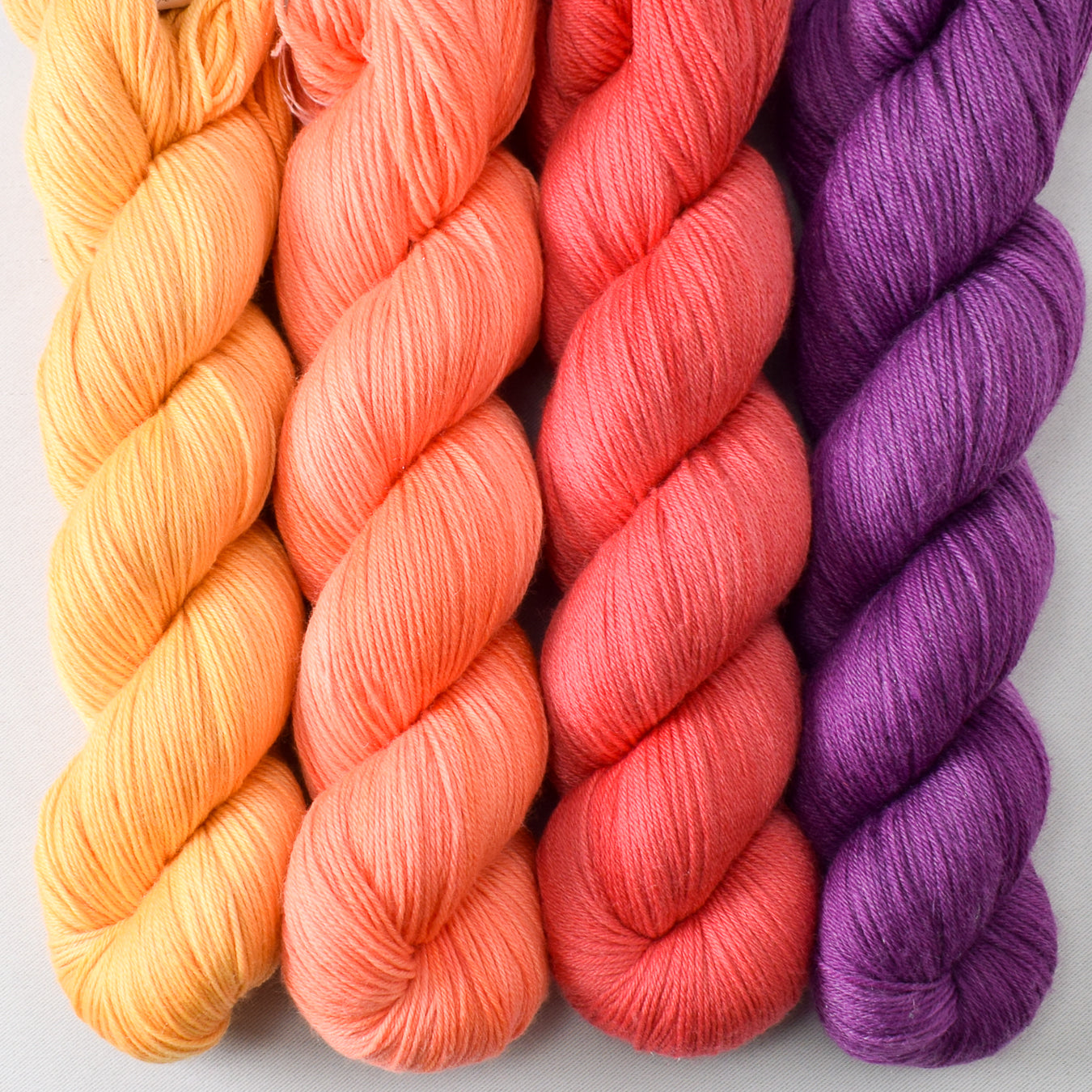 Coreopsis, Spicy Papaya, Coral, and Boysenberry - Miss Babs Tarte Quartet