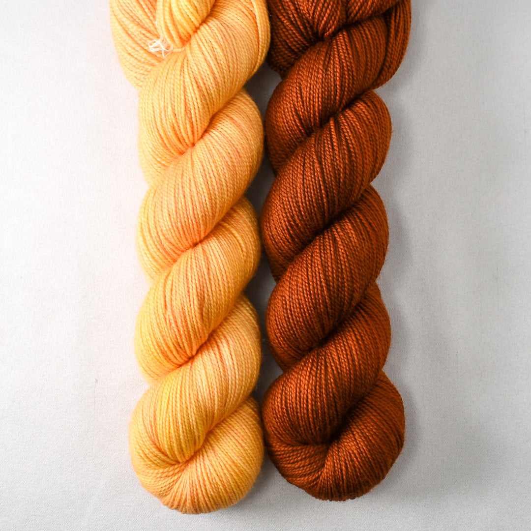 Coreopsis and Dark Cygnus - Miss Babs 2-Ply Duo