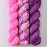 Cosmic Dust, Orchid Fantasia, and Boysenberry - Miss Babs Caroline Trio