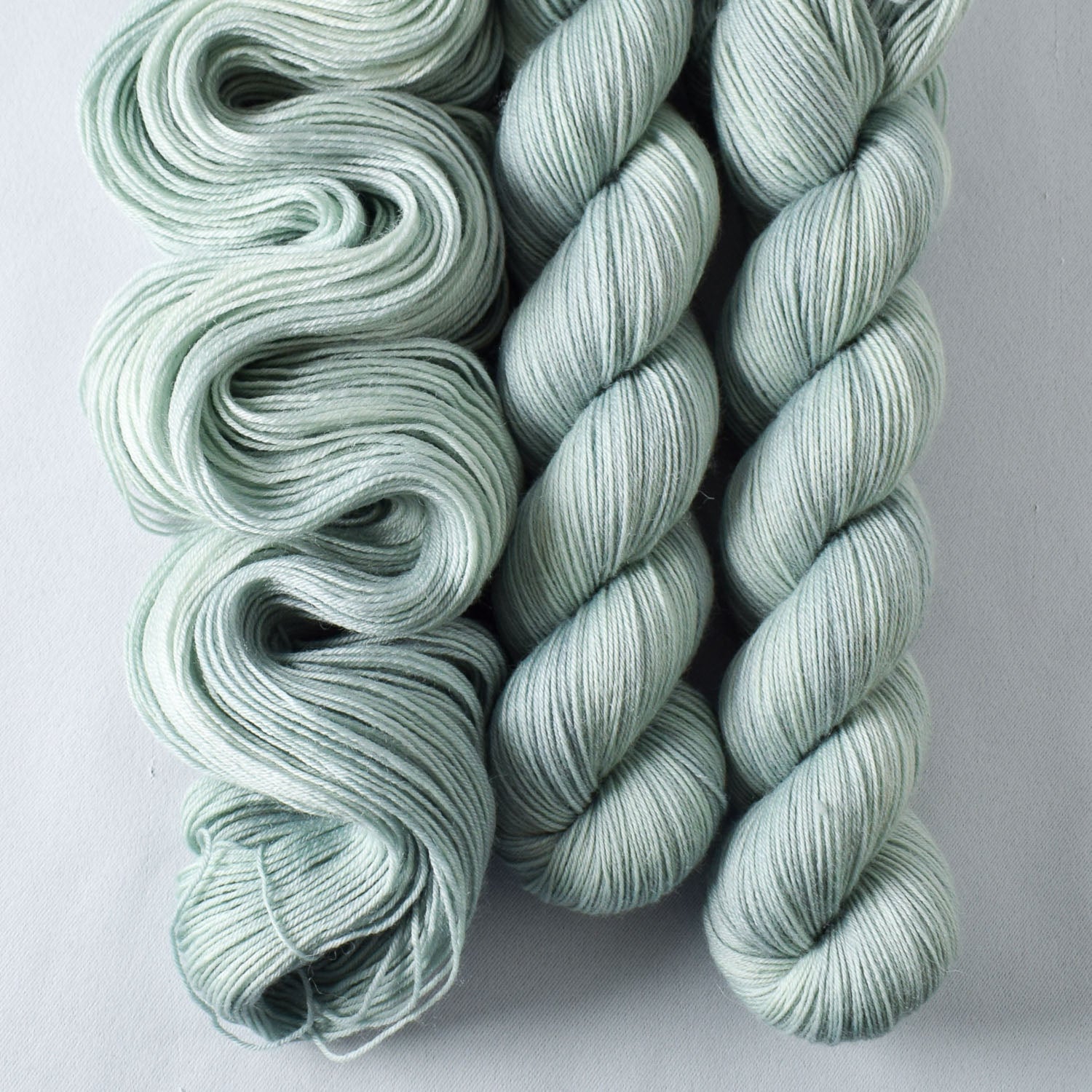 Coventry - Miss Babs Katahdin 437 superwash BFL wool yarn