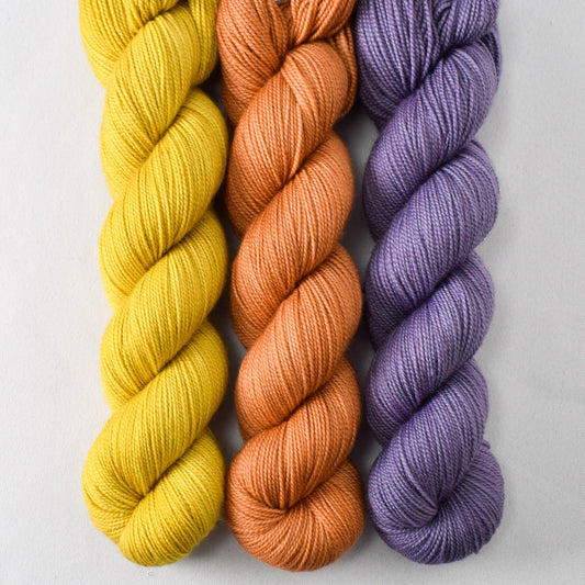 Cumin, Big Sur, and Harmonize - Miss Babs Yummy 2-Ply Trio