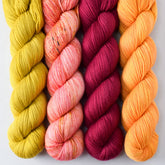 Cumin, Devoted Idea, Aubusson, and Saffron - Miss Babs Yummy 2-Ply Quartet