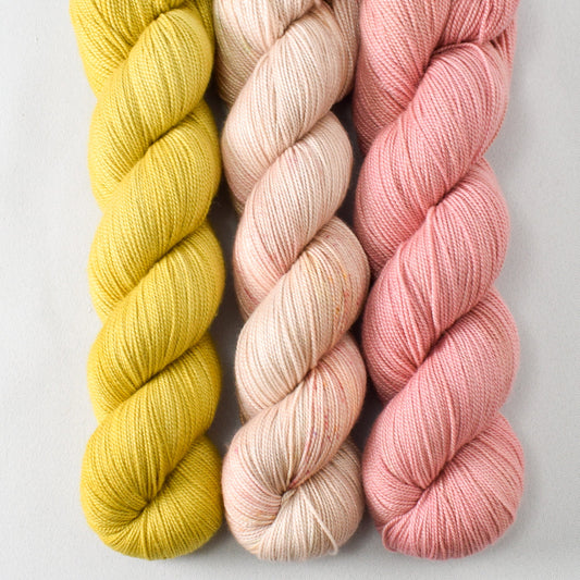 Cumin, Golden Anniversary, and Adobe - Miss Babs Avon Trio