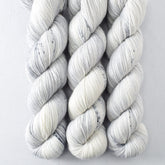 Daguerreotype - Miss Babs Tarte wool blend sock yarn