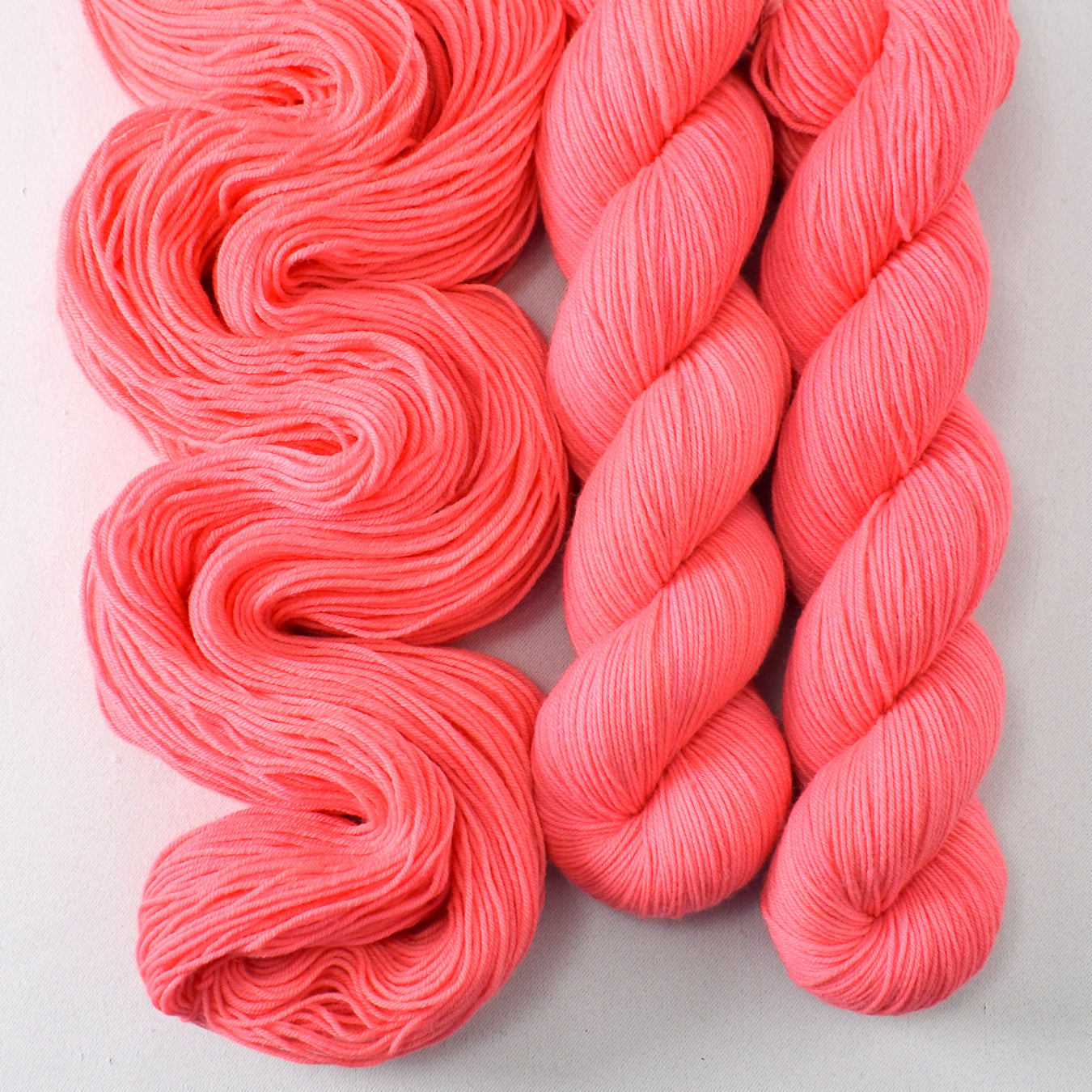 Dahlia - Miss Babs Putnam Merino wool and nylon sock yarn