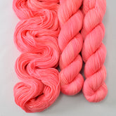 Dahlia - Miss Babs Tarte yarn