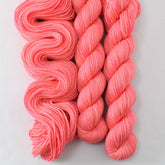 Dahlia - Miss Babs Yowza Mini superwash Merino wool yarn