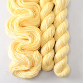 Daisy Spell - Miss Babs Yowza Mini yarn