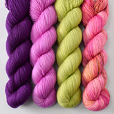 Dark Scorpio, Ergosphere, Iantha, and Make Believe - Miss Babs Yummy 2-Ply Quartet