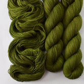 Dark Terrapin Station - Miss Babs Putnam yarn