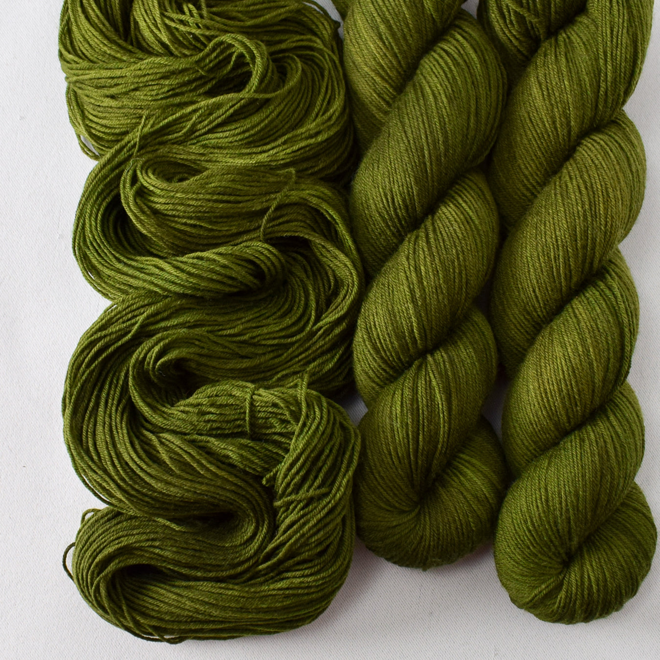 Dark Terrapin Station - Miss Babs Putnam yarn