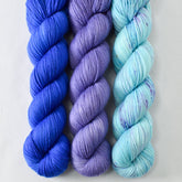 Dayflower, Leibe, and World in a Book - Miss Babs Yummy 2-Ply Trio