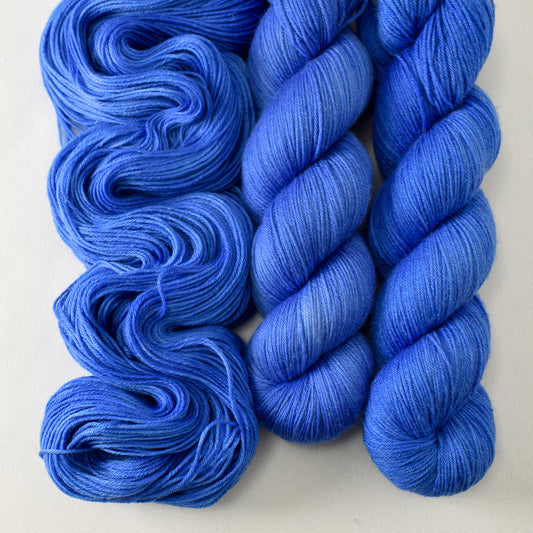 Dayflower - Miss Babs Tarte yarn