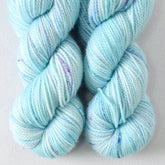 Defender of the Snax - Miss Babs Yummy 2-Ply Toes superwash Merino wool yarn