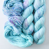 Defender of the Snax - Miss Babs Laurel Falls Shaniko Merino wool yarn