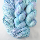 Defender of the Snax - Miss Babs Yowza superwash Merino wool yarn