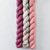 Devotion, Mountain Meadow, and Dark Adobe - Miss Babs Sojourn Trio