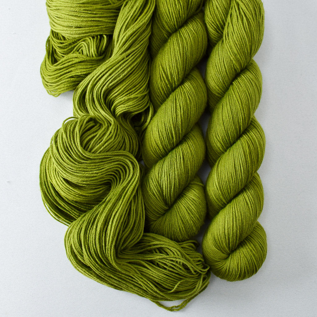 Dragon Claw - Miss Babs Putnam Merino wool and nylon sock yarn