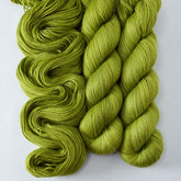 Dragon Claw - Miss Babs Tarte wool blend sock yarn