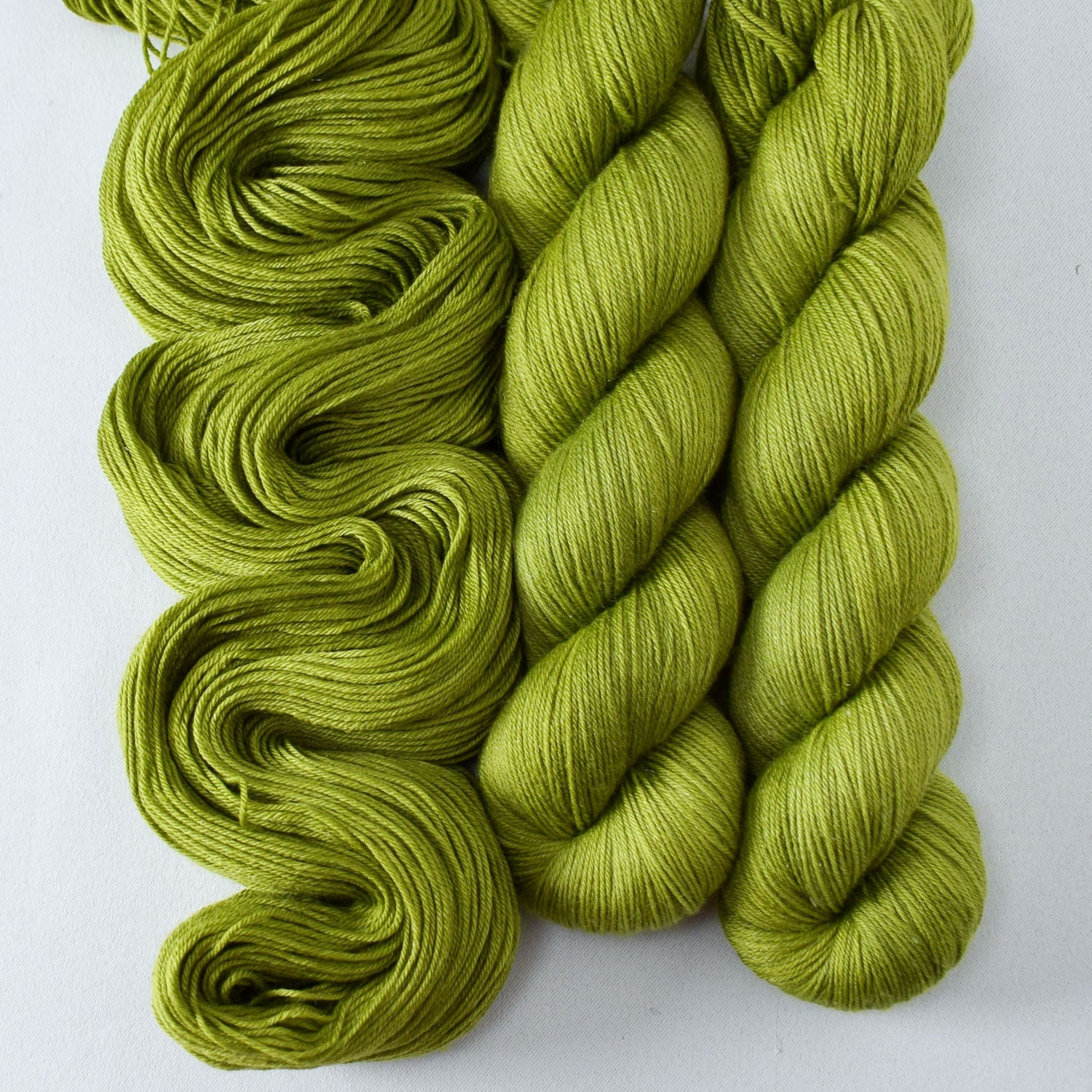 Dragon Claw - Miss Babs Tarte wool blend sock yarn