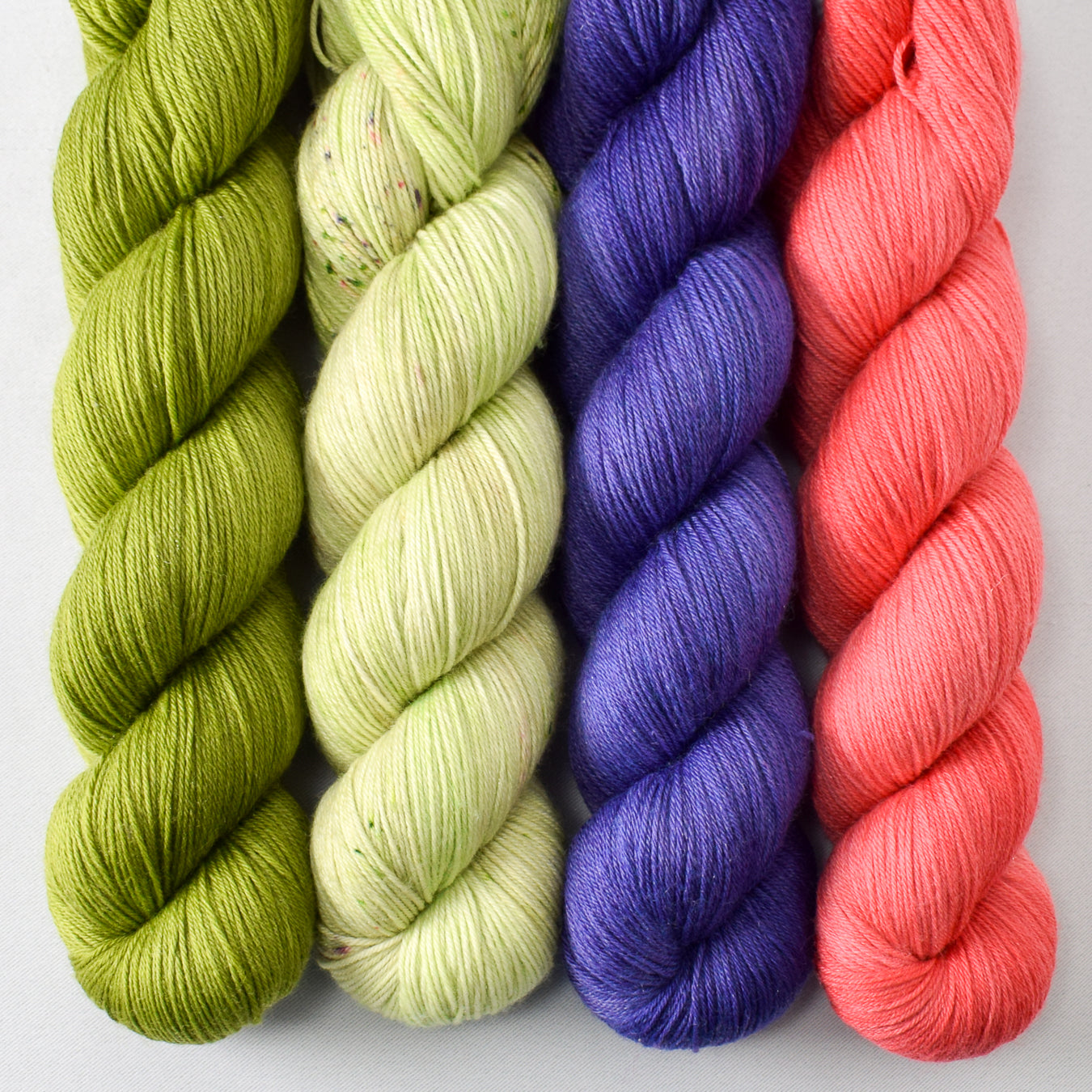 Dragon Claw, Wandflower, Clematis, and Coral - Miss Babs Tarte Quartet