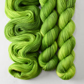 Dragon's Flight - Miss Babs Yummy 2-Ply superwash Merino wool yarn