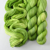 Dragon's Flight - Miss Babs Tarte wool blend sock yarn