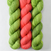 Dragons Flight (E) and Melon Ball (A) - Miss Babs Taraxacum Shawl Set