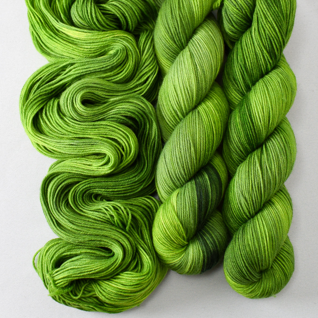 Dragons's Flight - Miss Babs Putnam yarn