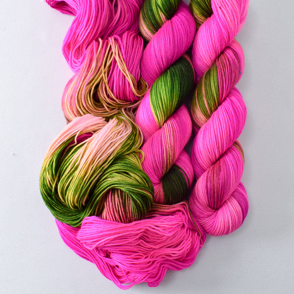 Drunken Watermelon - Miss Babs Putnam Merino wool and nylon sock yarn