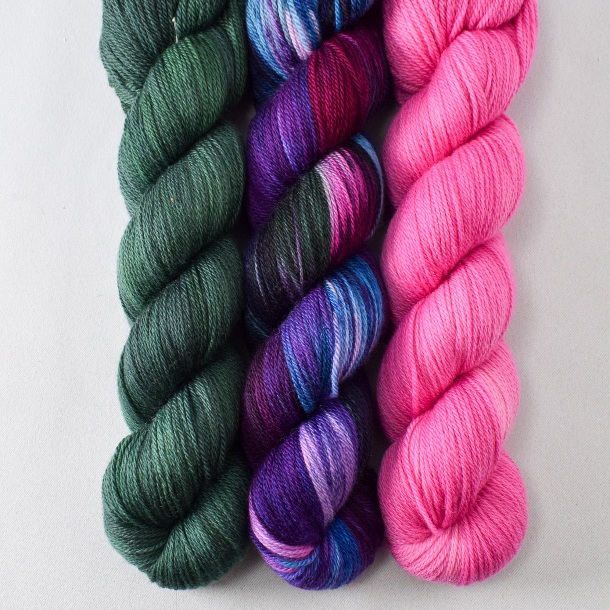 Dunk, Sans Souci, Caph - Miss Babs Caroline Trio