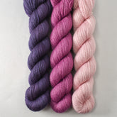 Dusk, Sanderiana, and Sugar - Miss Babs Yet Trio