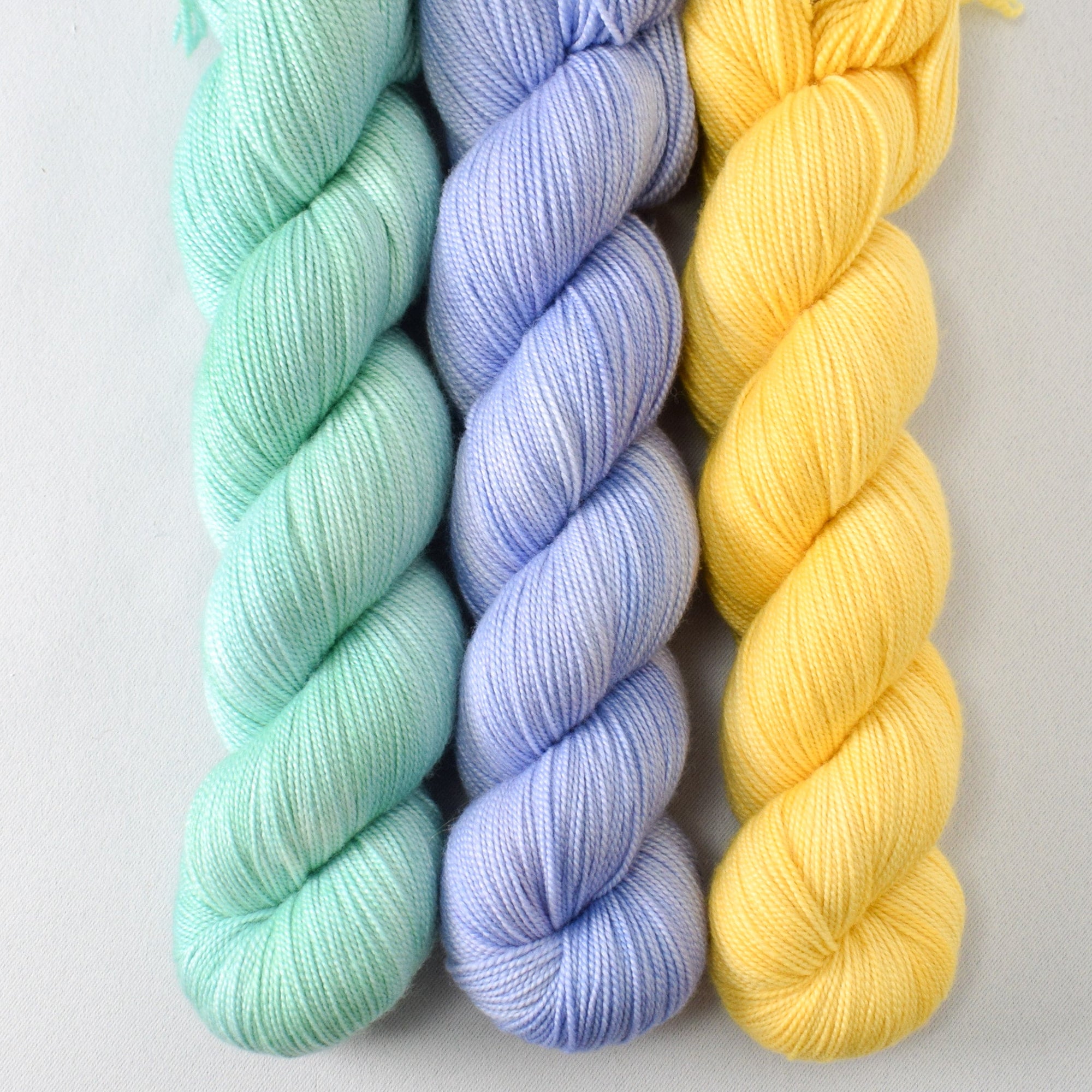 Easy Sway, Magic Elixir, and Sunny - Miss Babs Avon Trio