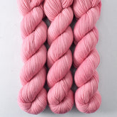 Embellish - Miss Babs Yummy 2-Ply superwash Merino wool yarn