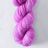 Ergosphere - Miss Babs Yummy 2-Ply Toes superwash Merino wool yarn