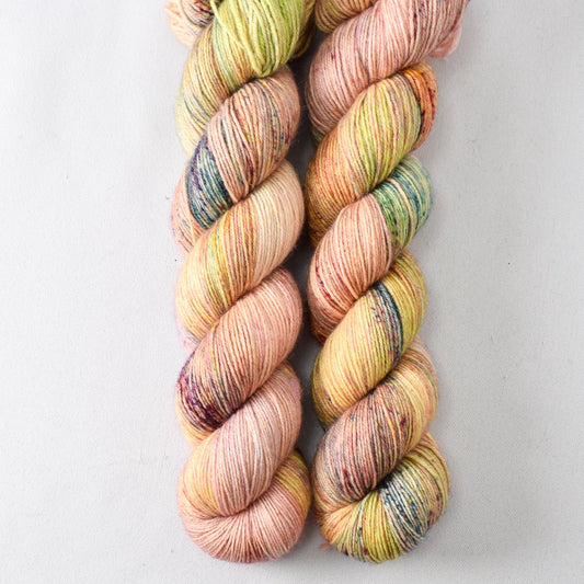 Exuberance - Miss Babs Katahdin 437 yarn