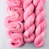 Fairy Floss - Miss Babs Putnam Merino wool and nylon sock yarn