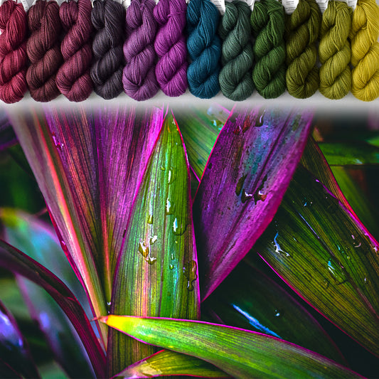 Fancy Plants - Crown Wools Set - PRE-ORDER - will ship by Friday, September 12