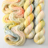 Fearless - Miss Babs Yummy 2-Ply superwash Merino wool yarn