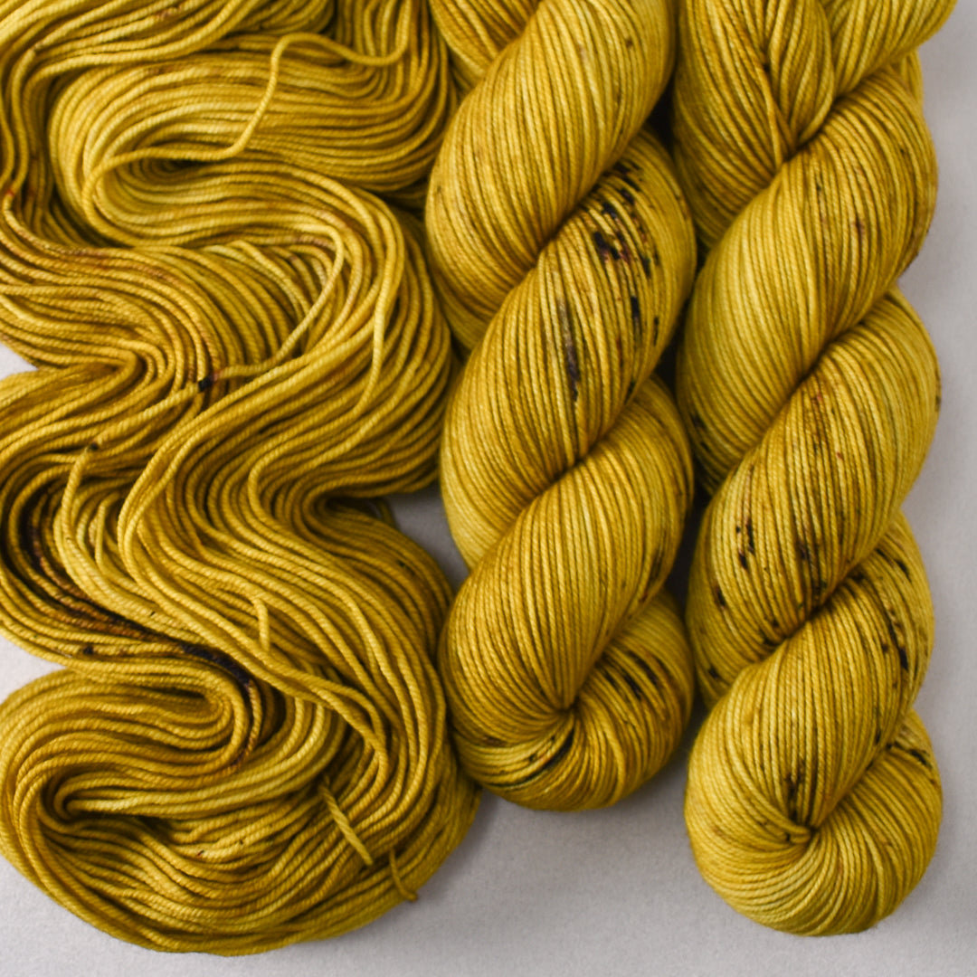 Fenugreek - Miss Babs Laurel Falls yarn