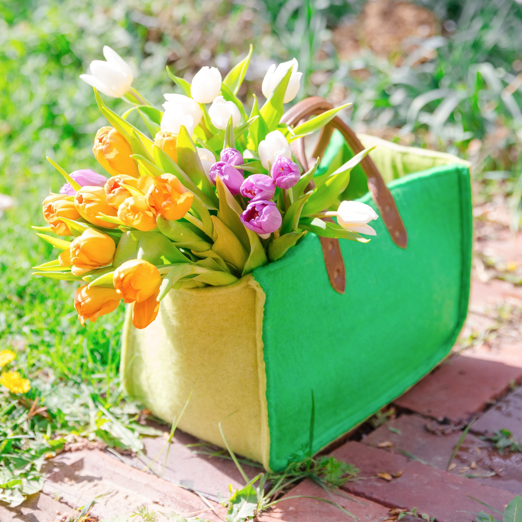 Fibres of Life Grab N Go Carry All - Parrot