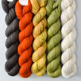 Fiddlehead, Supernova, Tuscan Sun, Walnut, White Peppercorn - Yowza Mini Set of Five - Babette