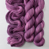 Fig - Miss Babs Putnam yarn